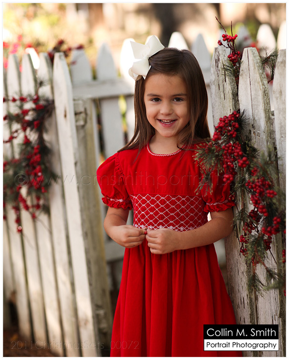 2011ChristmasSets_00072fb